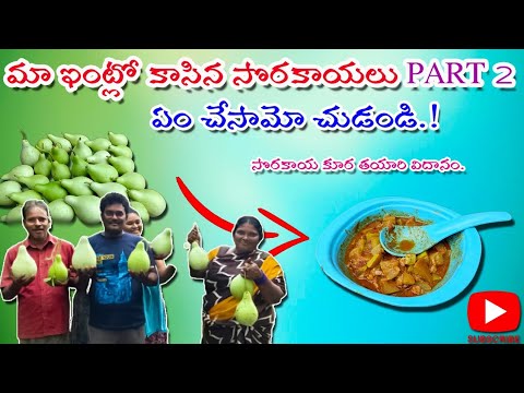 Maa Intlo Kacina Sorakayalu Part 2 And Curry | మా ఇంట్లో కాసిన సొరకాయలు Part 2 And Curry Full video