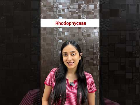 Rhodophyceae | Plant Kingdom #shorts #ytshorts #biology #neet #youtubeshorts #biology