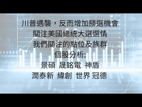 7月15日:美國選情，川普遇刺；我們該如何關注相關族群 #台股分析 #台積電 #川普遇刺 #美國總統大選 #聯準會 #美債 #美元 #晟銘電 #神盾集團