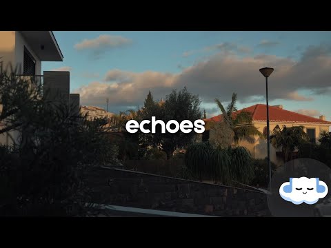 Tom Walker - Echoes (Lyrics)