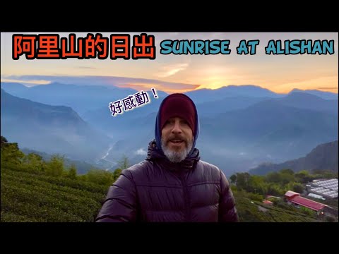 ALISHAN SUNRISE 全家到阿里山看壯麗的日出 住在充滿藝術的民宿 多肉植物花園 貓咪天堂