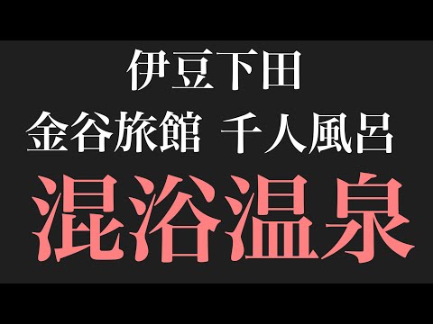 混浴　伊豆　下田　千人風呂　金谷旅館　グラビア、A○でも使われる