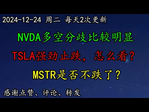 美股 多头安全了吗？怎么看？NVDA多空分歧还是比较明显的。TSLA强劲止跌，怎么看？MSTR是否不跌了，是否安全了？SOXL如何预期？ARM形态是如何演变的？标普、纳指、道指、罗素