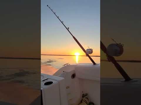 fishing sunrise #fishing #offshore #santeecooper #fyp