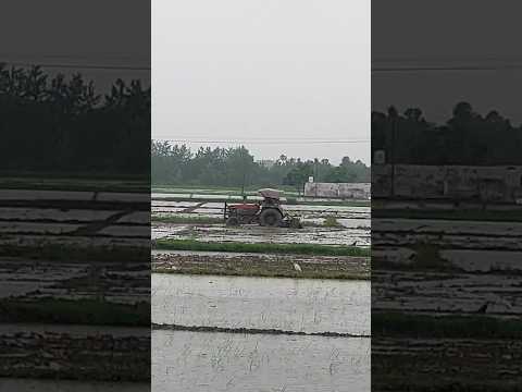 No Farmer No Food 👨‍🌾 Tractor🚜Power  💪⚡ #tractor #arjuntractor  #mahindra #rain #feild #farming