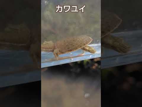 夏が終わる