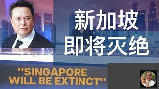 埃隆·马斯克: 新加坡即将灭亡 Elon Musk: Singapore are going extinct | We are running out of people