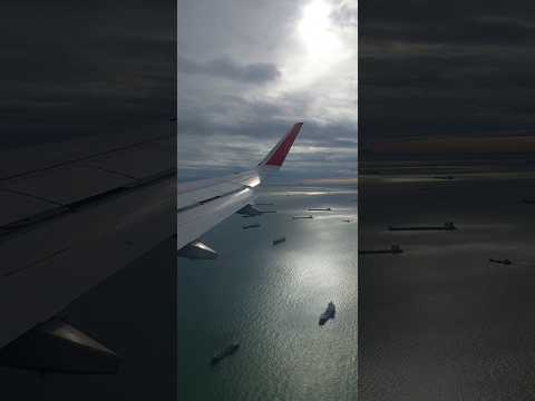 Landing at Singapore Airport. #shorts #changiairport #singapore #flight #tourism