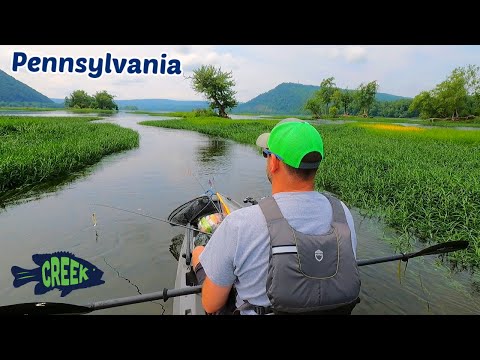 Fishing the BEST Smallmouth Bass River!!