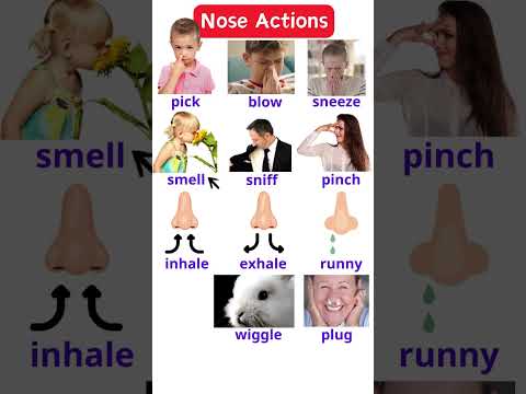 Nose Actions #speakingenglish #english #learnenglish #englishconversation #spokenenglish