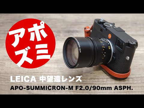 ライカ アポズミクロン９０ｍｍ「LEICA APO-SUMMICRON-M f2.0/90mm ASPH. (11884)」しっかり撮れる中望遠レンズ