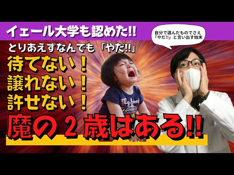 ２歳の生態〜魔の２歳はある〜