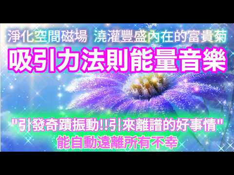 淨化 磁場【富貴菊 吸引高頻的喜悅與運氣】讓豐盛5D能量洗滌你！自動遠離所有不幸的磁場！只需聽就能清業力.帶走房間所有負能量.高頻能量淨化.淨化低頻磁場.吸引力法則.高頻能量音樂.布玫瑰冥想.好運音樂