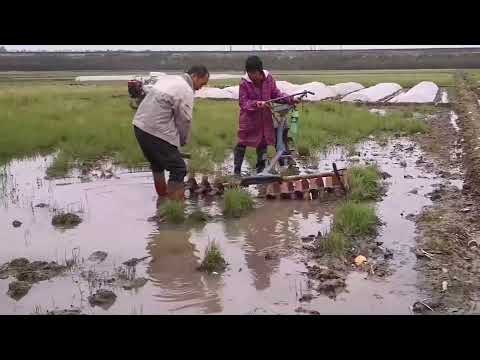 Single-wheel tiller for paddy field work