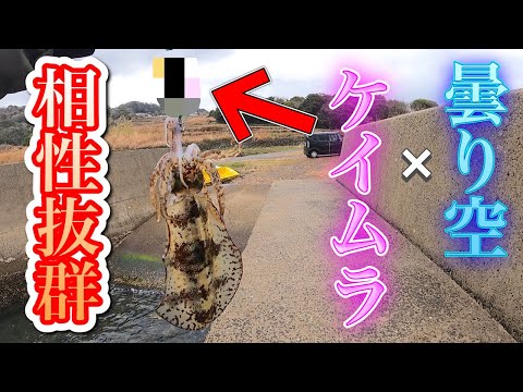 【冬エギング 】曇りの日の必殺カラーがこちら！！