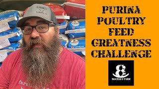 Purina Feed Greatness Challenge | Central Texas Chicken Coop