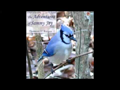 The Adventures of Sammy Jay (FULL Audiobook)