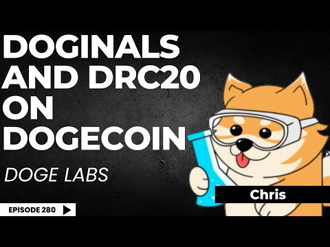 NFTs and Tokens on Dogecoin | Doge Labs