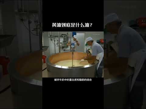 黄油到底是什么油，为什么我国要靠进口 #黄油 #涨知识 #快手科普