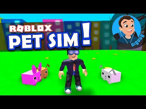 I made my real life Pet in Game Roblox Pet Simulator!!