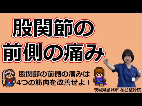 【自宅でトレーニング】股関節の前側に痛みがある方は4つの筋肉が原因かも！｜茨城県結城市 あお整骨院