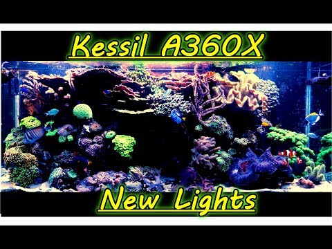 Kessil A360x Unboxing and Installation