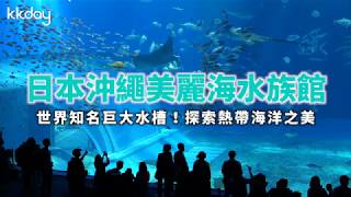 【日本旅遊攻略】沖繩美麗海水族館，探索黑潮之海｜KKday