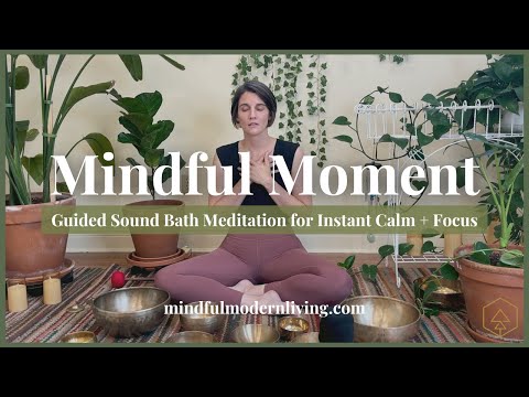 Mindful Moment #26 | Sound Bath Meditation | Support