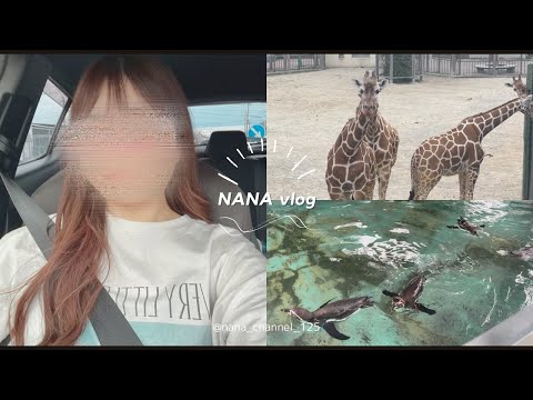 【Vlog】京都市動物園🦒｜平安神宮⛩️｜京都観光｜休日Vlog