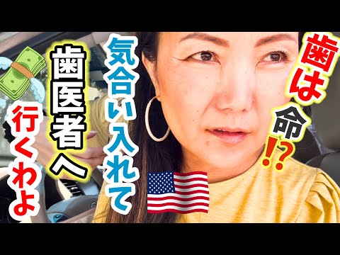 【アメリカ生活】🇯🇵と🇺🇸の歯への意識の違いって⁉️歯医者の自己負担はいくら💲💸