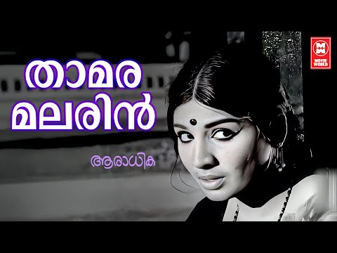 Thamara Malarin |  Aradhika | P Susheela | MS Baburaj | Old is Gold | Evergreen Songs Malayalam