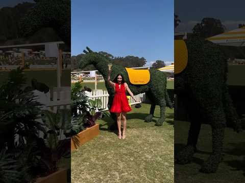 Veuve Clicquot Polo Classic - What I Wore!