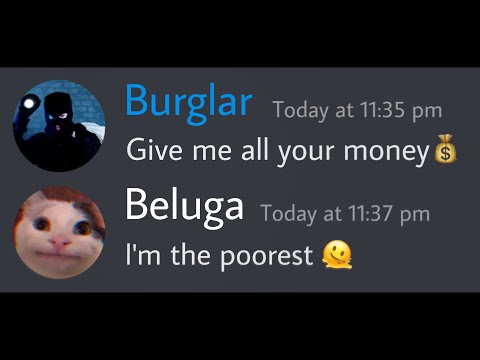 Thief VS. Beluga | hecker