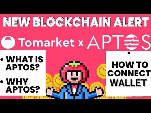 TOMARMAKET MOVED FROM TON to APT BLOCKCHAIN || HOW TO CONNECT WALLET || YOU NEED TO KNOW ON APTOS