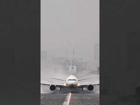 激しすぎた逆噴射 ANA ボーイング767-300台風直撃の大阪伊丹空港　強い追い風のランディング伊丹空港 #飛行機のある風景