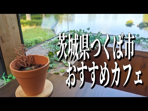 美しい池、豊かな緑と共に過ごす茨城県つくば市のおすすめカフェ【茨城グルメ旅】