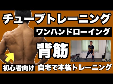 【背筋】片腕種目で強度アップ！初心者向けチューブトレーニング