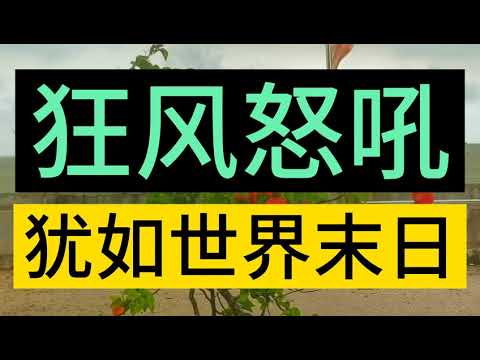 狂风怒吼，有点像世界末日的感觉。大风，狂风，飓风，八级台风，黑暗，乌云，暴风雨。大海大风。海啸，马来西亚吉隆坡大风。Gale, squally, Kuala Lumpur, Malaysia.