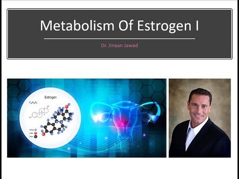 The Metabolism Of Estrogen- Part I Types of Estrogen