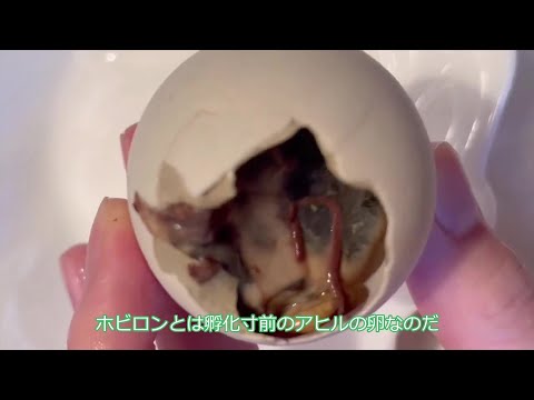 ホビロン美味くて感動したので実食レポート