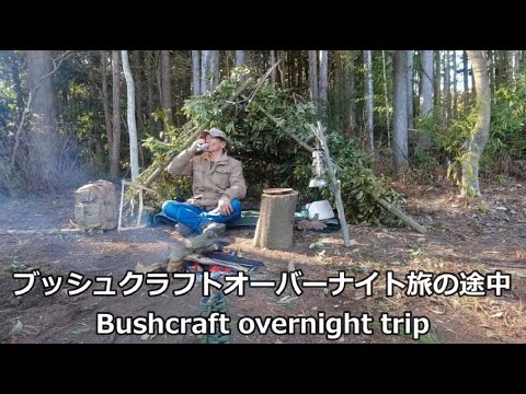 ソロキャンプ ブッシュクラフト オーバーナイト 旅の途中 Bushcraft overnight trip