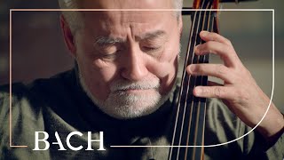 Bach - Cello Suite no. 5 in C minor BWV 1011 - Suzuki | Netherlands Bach Society