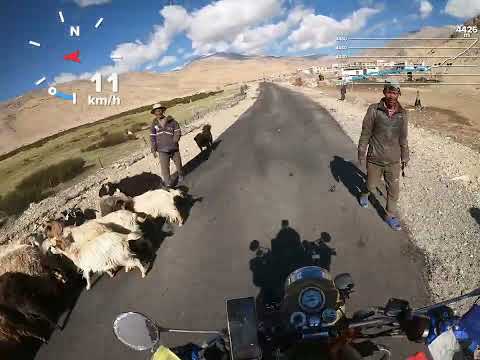 Beautiful route between pang and hanle in ladakh... #motovlog #solotraveladventure #motorcycle