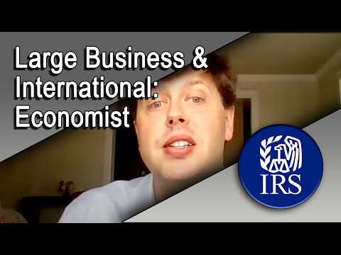 Large Business and International Economist at the IRS