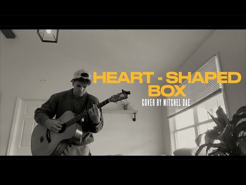 Heart-Shaped Box - Nirvana | cover by mitchel dae