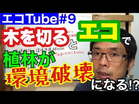 【エコTube#9】木は切った方が環境に良い⁈植林が環境破壊になる⁈について