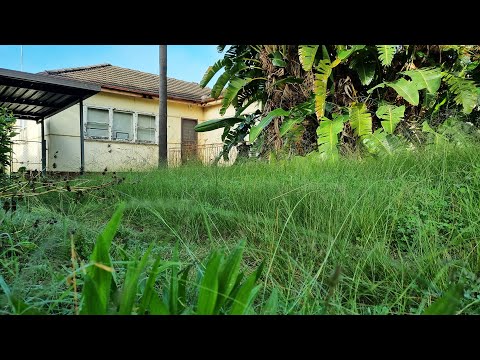 EVICTION For 90 Year Old Lady With Long OVERGROWN Lawn | We MOWED It For FREE!