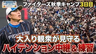 きょうは祝日！大入りのエスコンフィールドで選手たちの練習に熱視線＜11/3ファイターズ秋季キャンプ2023＞