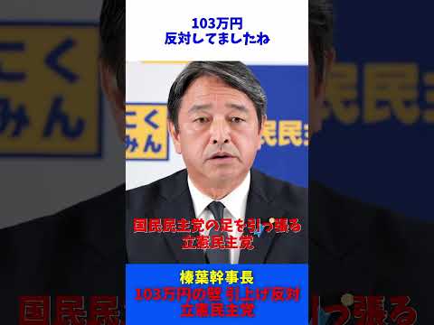 「103万円の壁」 引き上げに反対する 立憲民主党 / 国民民主党 榛葉幹事長 記者会見