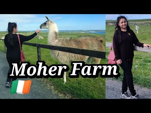 Moher Hill Farm | Moher Hill Open Farm and Leisure Park | Near Cliffs of Moher Liscannor